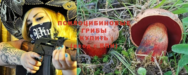 прущие крисы Каменногорск