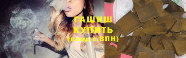 apvp Каменка
