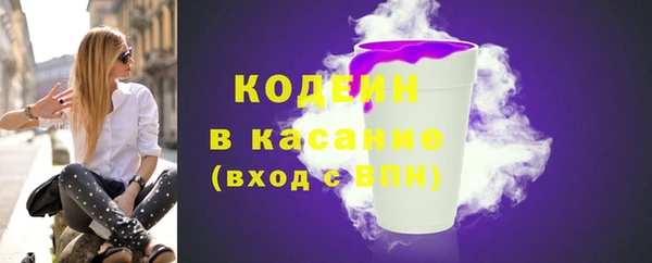 apvp Каменка
