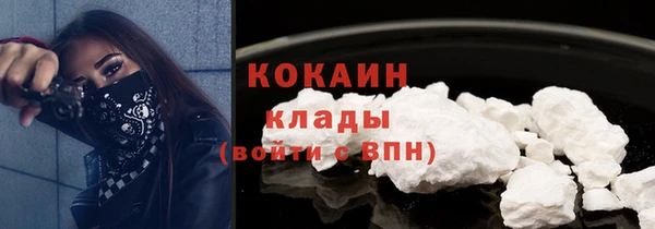 apvp Каменка