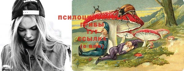 прущие крисы Каменногорск
