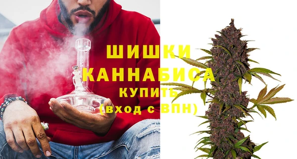 apvp Каменка