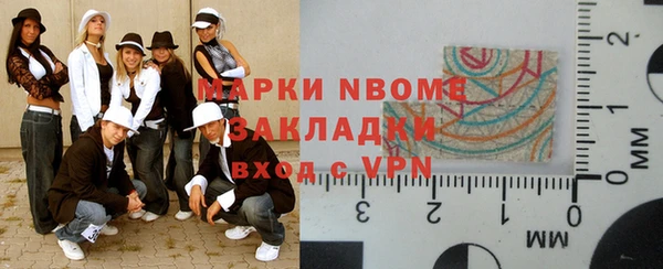 apvp Каменка