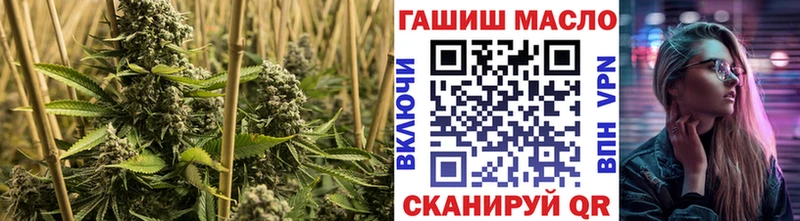 Купить где  Киреевск  ТГК гашишное масло 